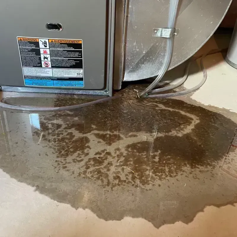 Appliance Leak Cleanup in Sutter Creek, CA